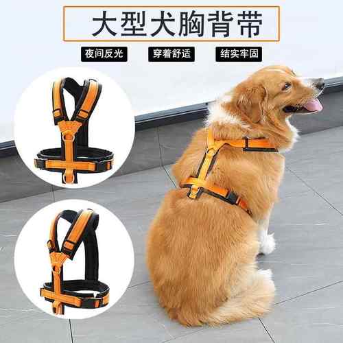 大型犬大狗宠物法斗哈士奇金毛柯基拉布拉多土狗用品狗狗胸背带