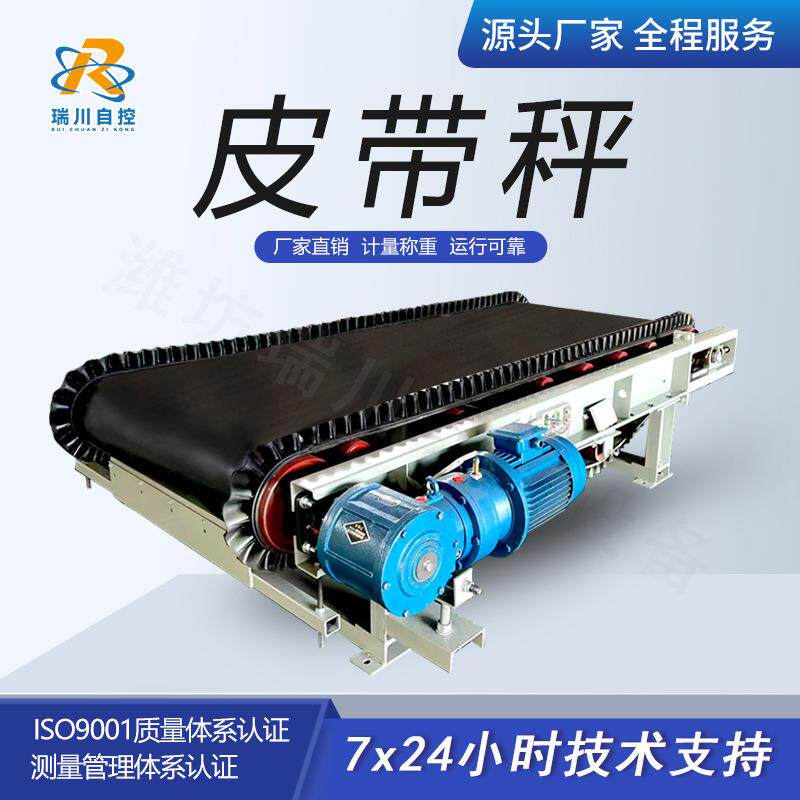 煤炭计量皮带秤自动电子皮带输送机高精度定量给料机给煤机电子称