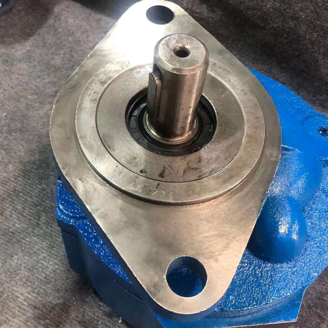 动力头马达齿轮油泵CBG100-B1R-5-1多种规格