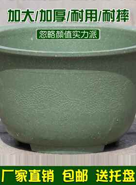 多孔加厚塑料花盆特大型阳台庭院植树花盆铁树盆景大花盆龙盆