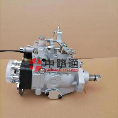 供应 22100-1C190柴油泵总成 VE6/10F1900RND964 196000-2300