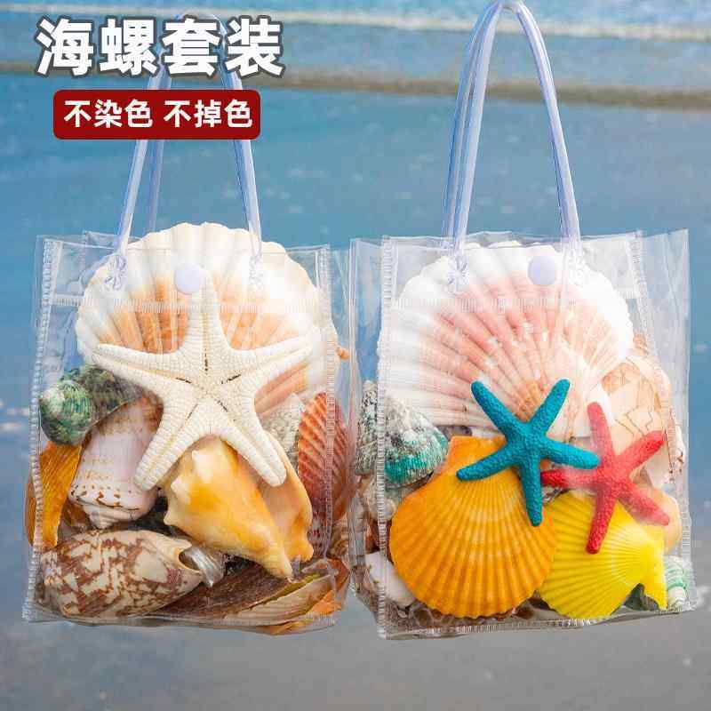 天然海螺贝壳海星鱼缸水族箱地台造景装饰摆饰儿童生日礼物送学生