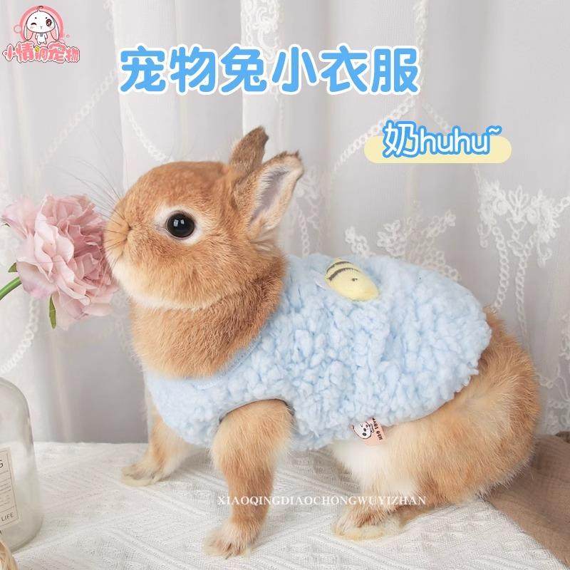 小兔子衣服侏儒兔专用小衣服宠物垂耳兔豚鼠兔兔服饰荷兰猪用品,宠物/宠物食品及用品,兔兔服饰,淘宝优惠券,粉丝福利购,淘宝优惠卷