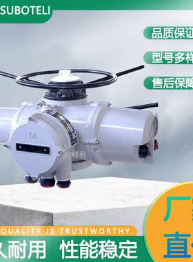 罗托克智能型阀门电动执行器IQ25系列多回转开关调节型电动装置