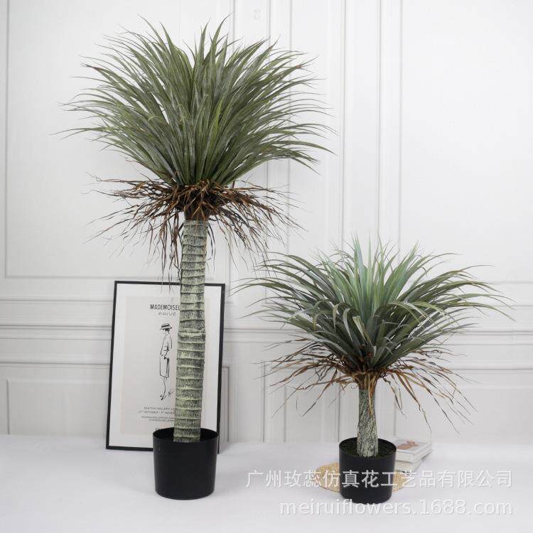 精选现货仿真龙兰龙铁树绿AL650644植物美洲舌内客厅玄关植室摆件