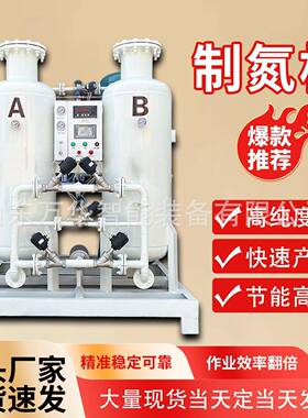 工业制氮机氮氧分离设备分子筛式制氮机PSA工业制氮设备氮气机