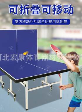 豪华室内标准比赛用大彩虹小彩虹乒乓球台乒乓球桌乒乓球案