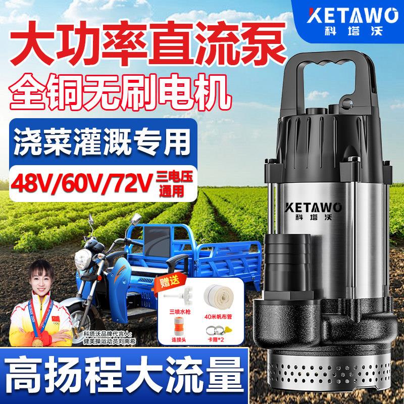 电瓶车专用潜水泵12V48V60V72V大功率大流量无刷抽水泵农用灌溉机