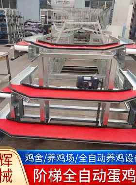 全自动阶梯蛋鸡笼A字型阶梯式组装笼厂家全自动清粪捡蛋蛋鸡笼