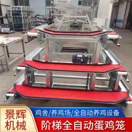 全自动阶梯蛋鸡笼A字型阶梯式组装笼厂家全自动清粪捡蛋蛋鸡笼