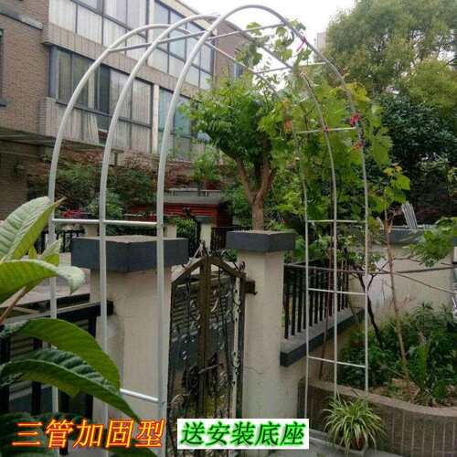 拱门花架爬藤架户外花园阳台园艺支架葡萄月季花铁线 线莲植物架