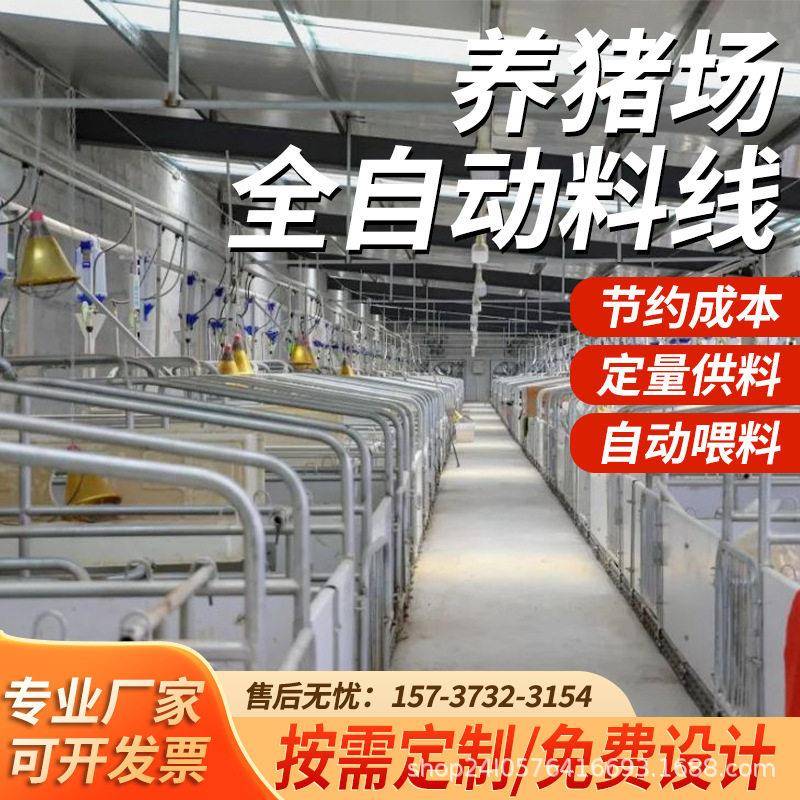 猪料线 母猪舍定量杯赛盘链条料线 全自动喂料系统 全自动料线