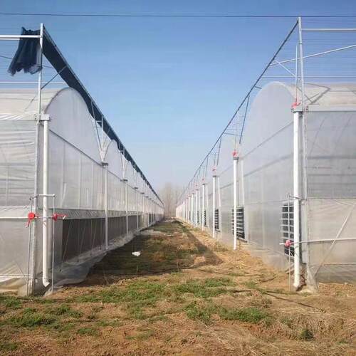 连栋薄膜温室养殖大棚镀锌骨架温室育苗大棚瓜果采摘大棚薄膜大棚