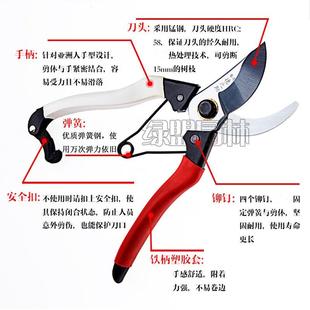进口果树剪刀园林剪支剪园艺手剪家用 德之助花剪修枝剪树枝剪刀