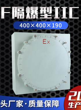 隔爆型ⅡC400×400×200防爆接线箱防爆配电箱C级防爆控制箱