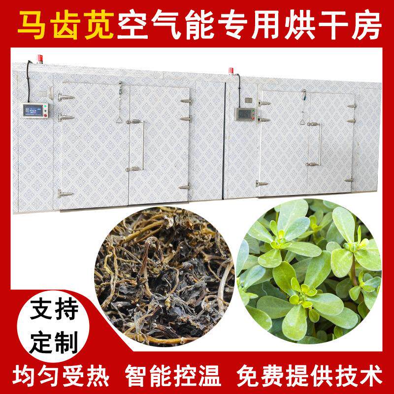 空气能热泵马齿苋烘干机麻绳菜马齿笕脱水干燥机马齿菜烘干设备