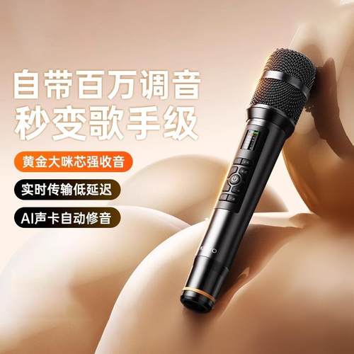 H16麦克风无线话筒自带声卡美声全民K歌直播录音室内户外厂家