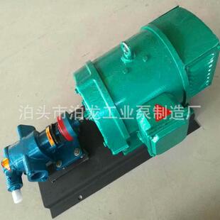 稀油站润滑泵 直流齿轮泵CHY18 电厂直流泵 泊头CH齿轮泵 供应