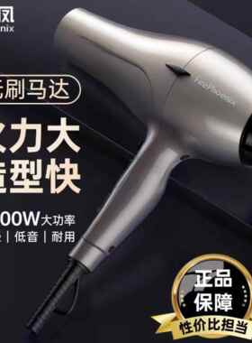 火之凤吹风机6600H无刷大功率风筒快速吹干静音轻便发型师吹风机