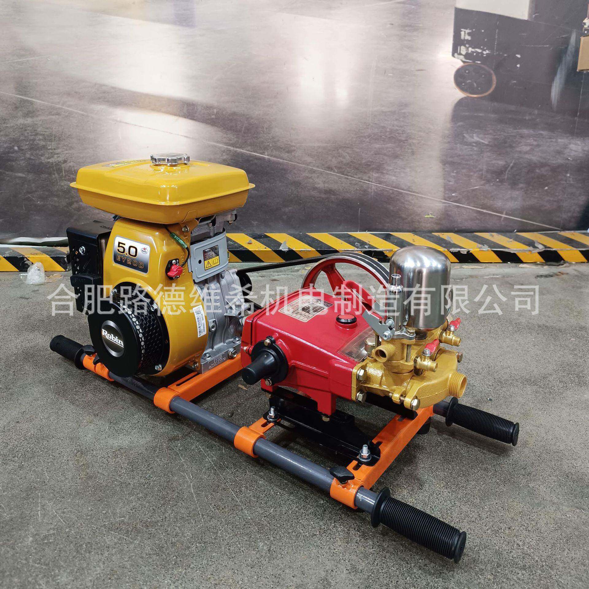 CE2200汽油机喷雾机手推式高压打药机担架式园林喷雾器罗宾动力