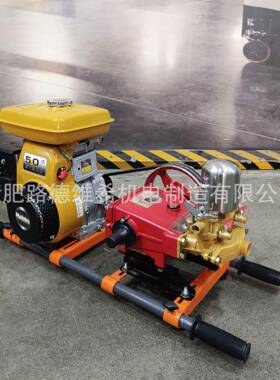 CE2200汽油机喷雾机手推式高压打药机担架式园林喷雾器罗宾动力