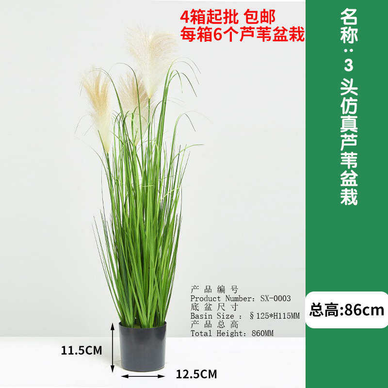 花卉绿洋葱草叶仿真 芦苇盆栽植物植假仿真仿生邮花三头蒲苇包