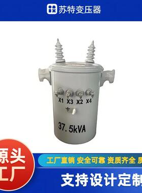 D11-37.5KVA单相柱上圆柱油浸式变压器6KV/10KV支持厂家设计