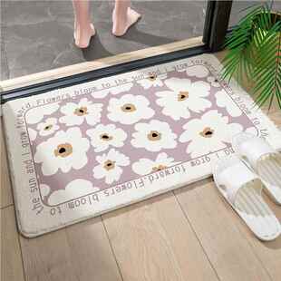 卫生间地浴室吸间水门垫30cHbdiE门口进门速干脚垫厕所毯防滑地垫