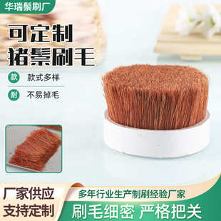 动物毛鬃工业刷毛染色水煮鬃毛厂家批发 供应染红色30mm切猪鬃毛