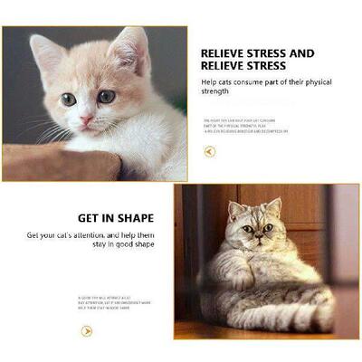 Cat Spring Toy 4PCS Kitten Springs Coil Indoor Cat Toys