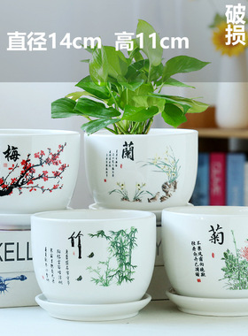 TEMU蝴蝶兰花盆陶瓷清仓大号花瓶