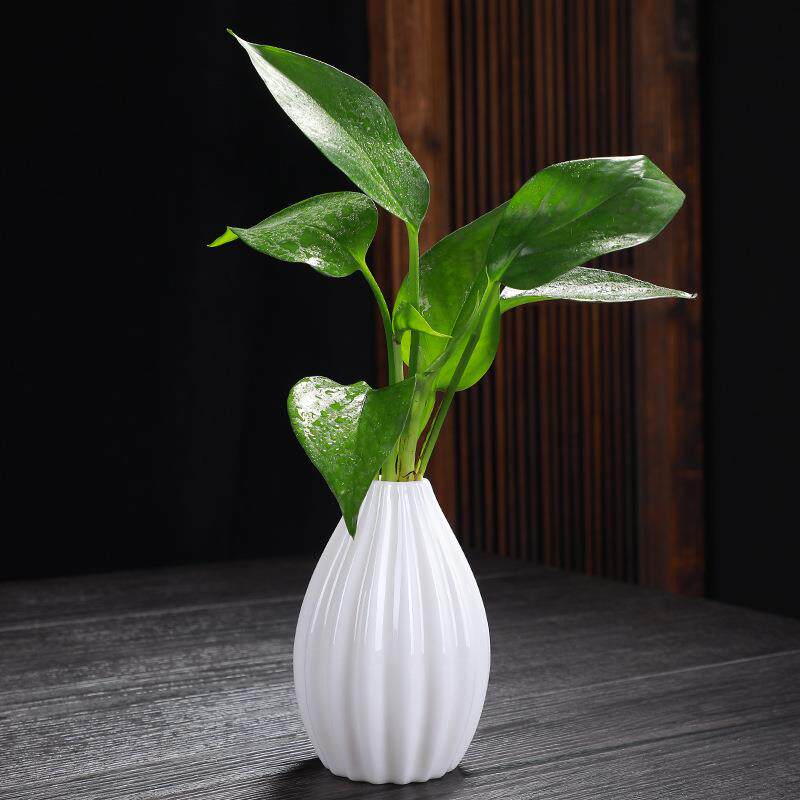新款直销陶瓷插花瓶摆件客厅绿萝水培小花瓶茶几桌面装饰品ins小