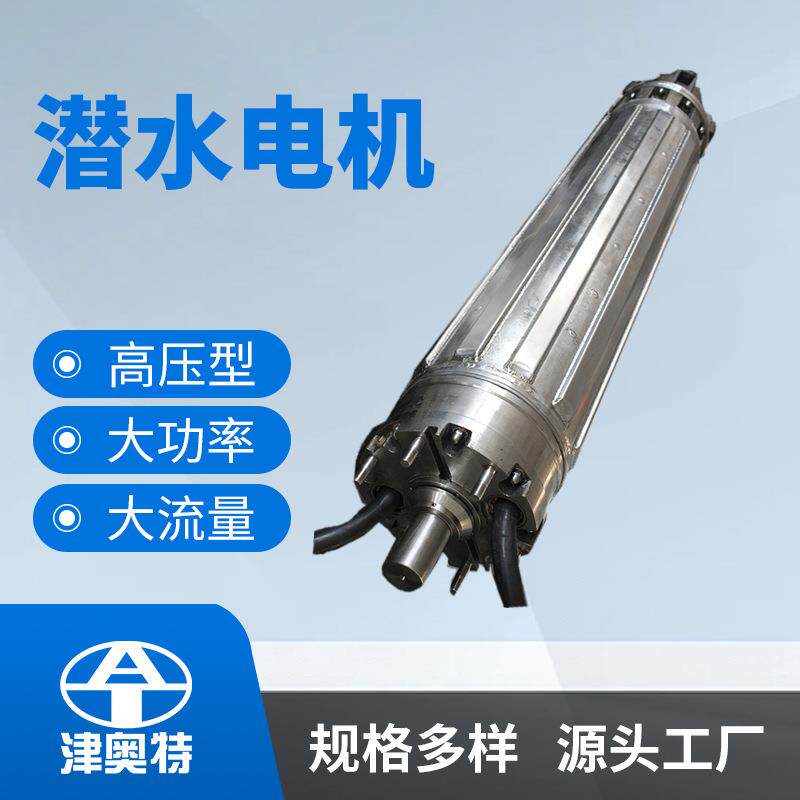 永磁不锈钢潜水电机同步潜水电动机高效节能防水电机厂家发货