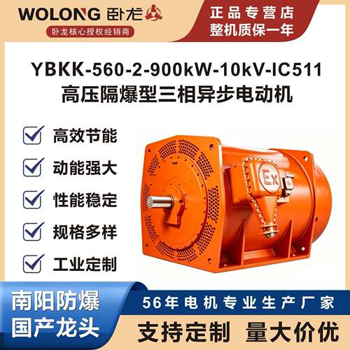 卧龙YBKK-560-2-900kW-10kV-IC511-B3压隔爆型三相异步电动机