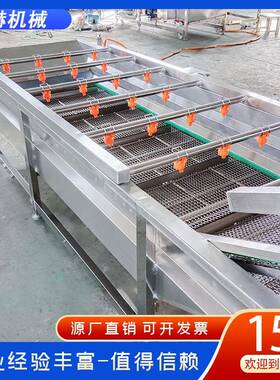 不锈钢粽叶气泡清洗机 淋菜洗线 喷式圣清DFS女果清净洗机
