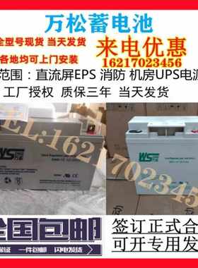 WS万松蓄电池SN17-12消防SN12065电梯12V7a17a24a38a40a65a100ah