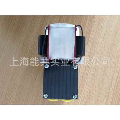 德国KNF PM29512-N86KTE 真空泵 取样泵 采样泵 抽气泵 隔膜泵