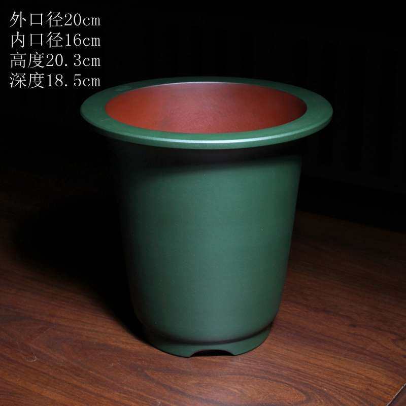 式狮子头口钟盆紫砂飘万年青兰花盆室内精品绿色粉泥君子兰专用