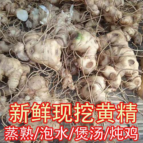贵州多花姜型大新鲜现挖6-8年黄精煲汤炖鸡九蒸九晒老虎姜滇黄精