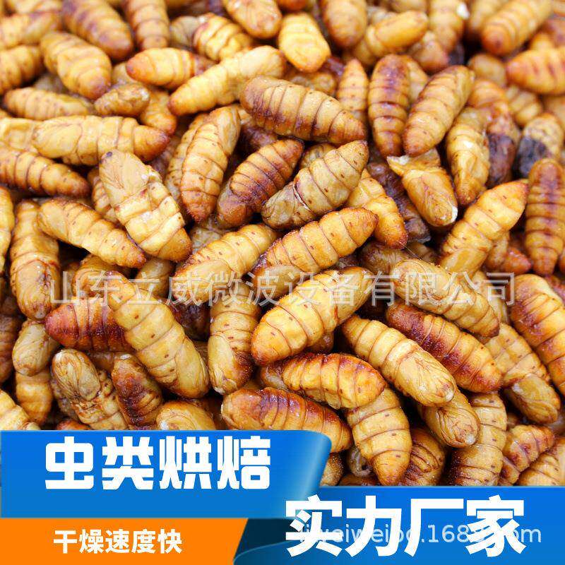黑水虻微波烘干设备生产黄粉虫烘干机昆虫膨化杀菌设备厂家