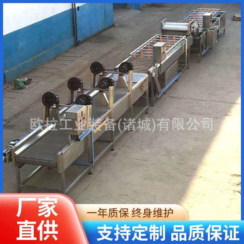 喷淋式不锈钢清洗设备 红薯紫薯气泡喷淋清洗机 全自动山楂清洗机