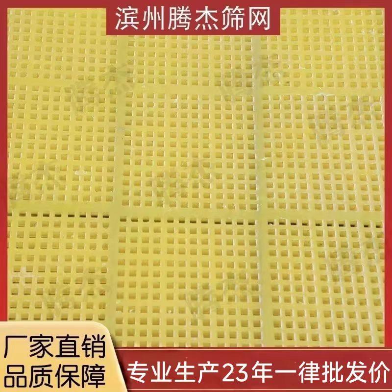 聚氨酯筛网振动牛筋网细沙回收耐磨脱水筛洗沙石料矿用大孔筛网图片