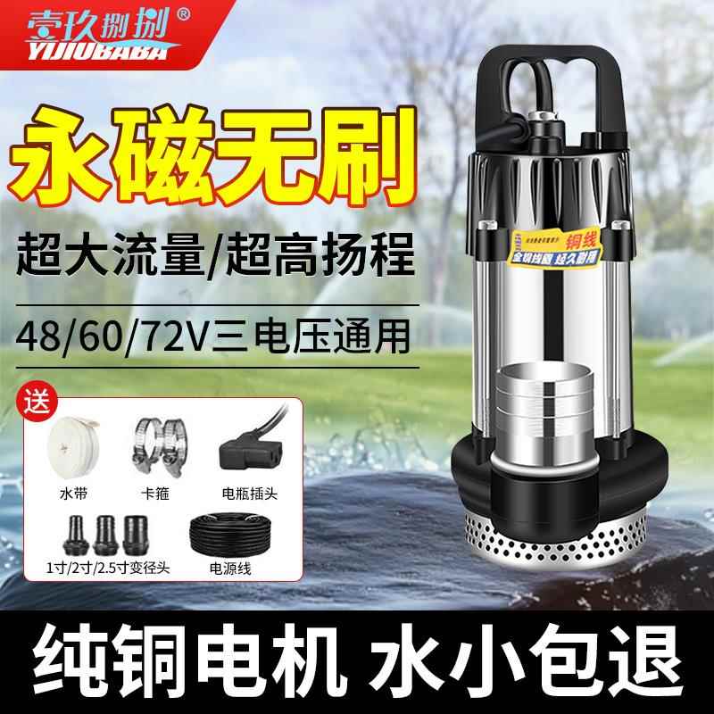 无刷直流潜水泵48V60V72V电动车电瓶车专用抽水泵农用浇菜灌溉机