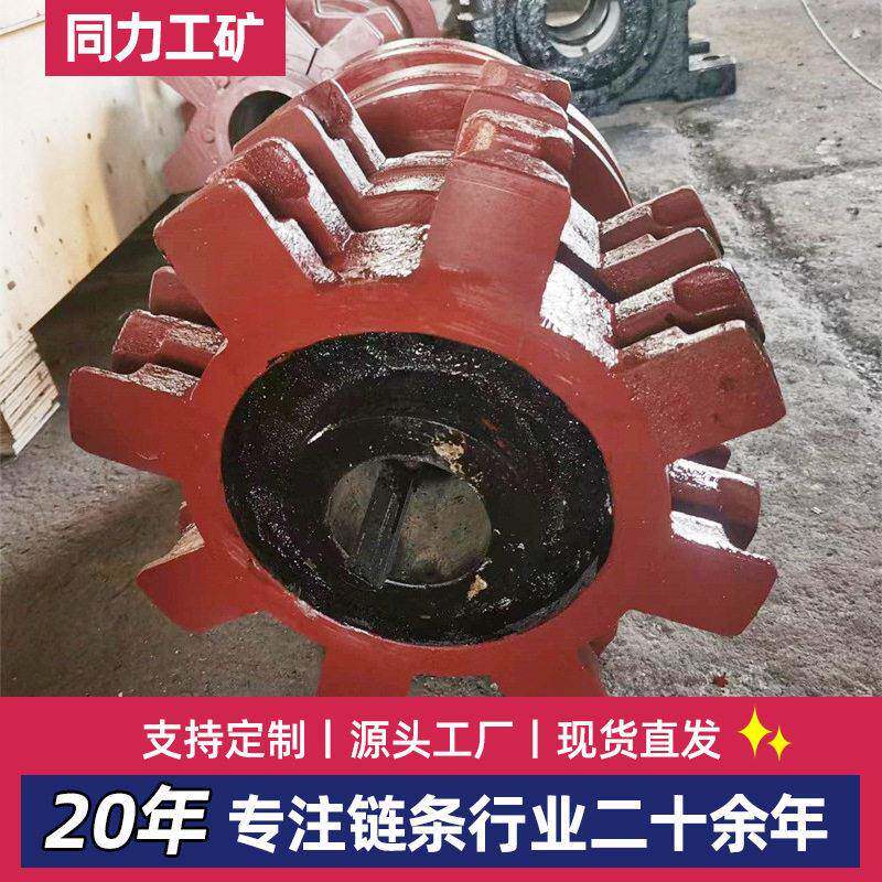 刮板机链轮厂家多种型号双排工业