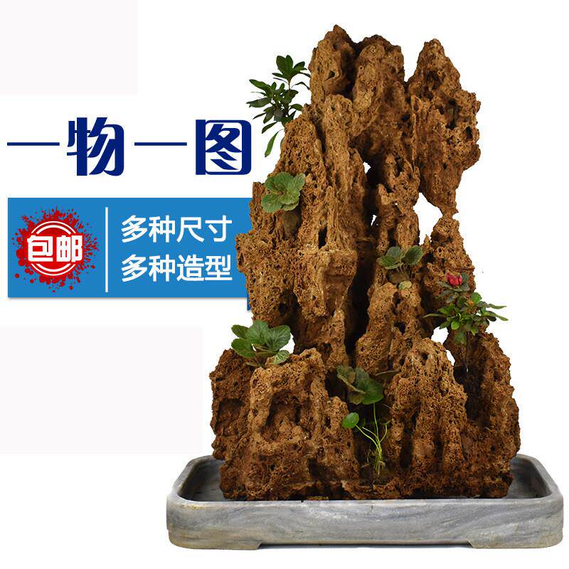 吸水石头盆景上水石水秀原石客厅中大观赏奇石真石植物假山造型石