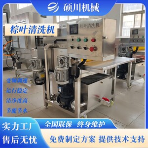 糯米粽子加工设备荷叶粽叶清洗机芦苇叶海带上下两层毛辊清洗机