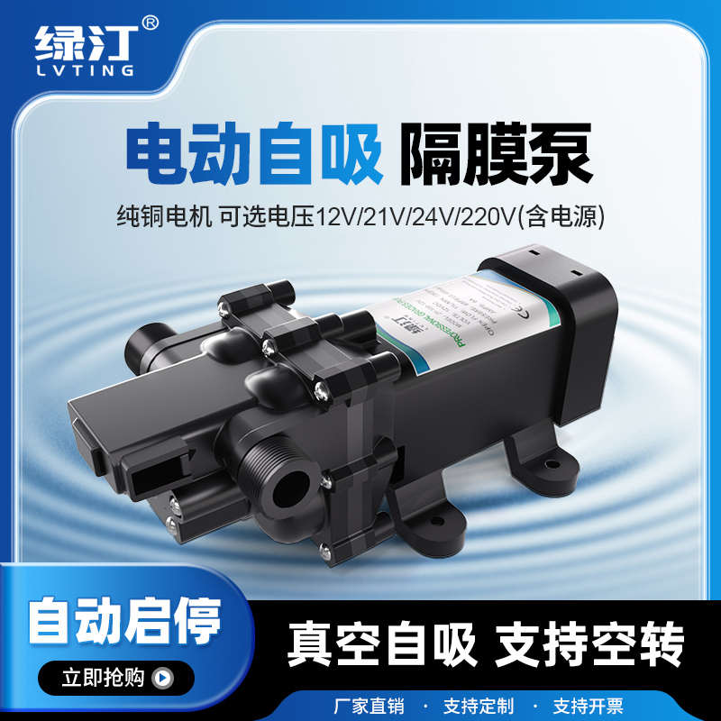 电动直流12v24v抽水泵房车浇菜神器浇水机农田自吸隔膜泵增压专用