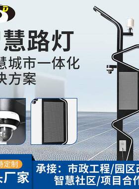 一体化智慧路灯道路公园监控多功能观景灯源头工厂