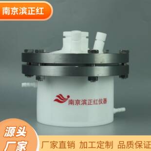 聚四氟乙烯反应罐1L耐酸碱高压四氟反应器可制定PTFE反应釜低本底
