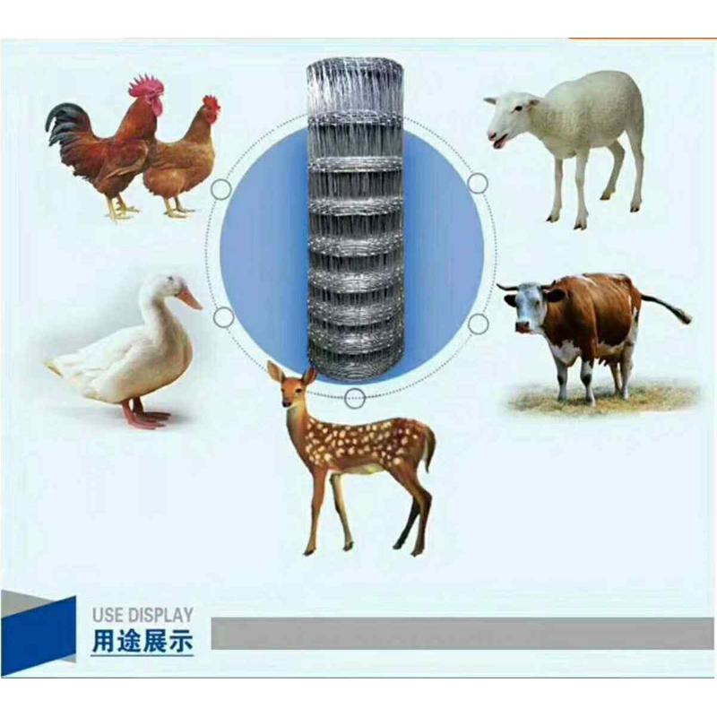 钢丝养牛栏网铁丝养牛防护镀锌养殖防护网果园防护圈地围栏网